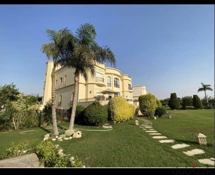 قصر للبيع 2500م تشطيب الترا - Luxurious palace for sale 6
