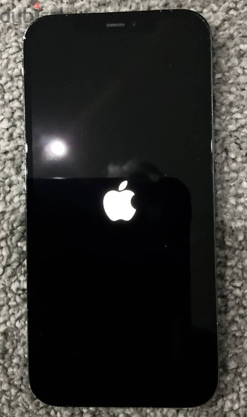 iPhone 12 Pro Max 1