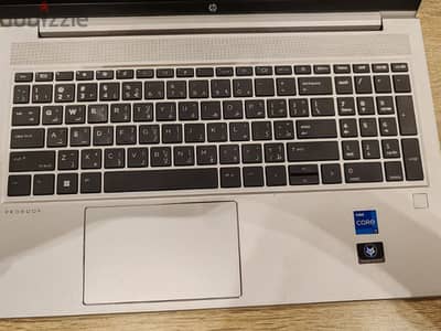 HP ProBook I7 g12, 64 GB RAM, 2TB SSD