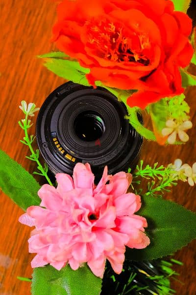 Canon 600D Shutter 0 + Lens 18_55 Viii جديدة بالبوكس 10