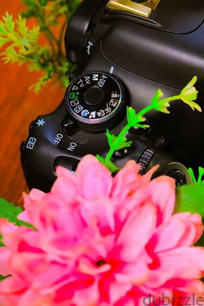 Canon 600D + Lens 18_55 Viii بالكرتونة جديد 2