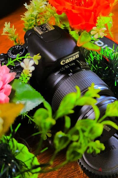 Canon 600D + Lens 18_55 Viii بالكرتونة جديد 8
