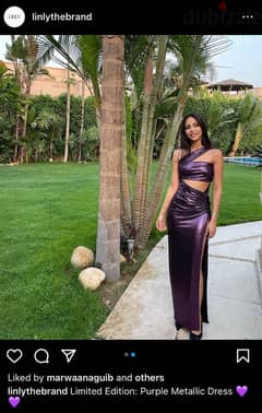 LINLY Purple Metallic Dress Limited Edition Size S