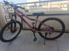mountain trinx bike size 26