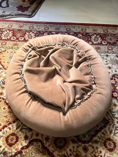 Pet cushion (beige)  used only once ( clean)