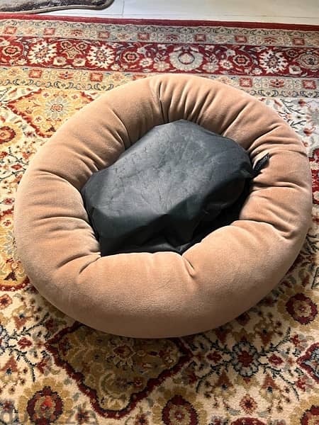 Pet cushion (beige)  used only once ( clean) 1