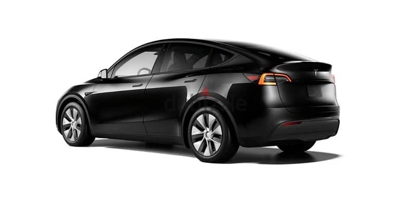 Tesla Model Y - Long Range 2024 1