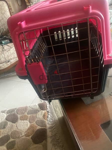 cage dog cat قفص للقطط وكلاب صغيرة ٣-٤ شهور 2