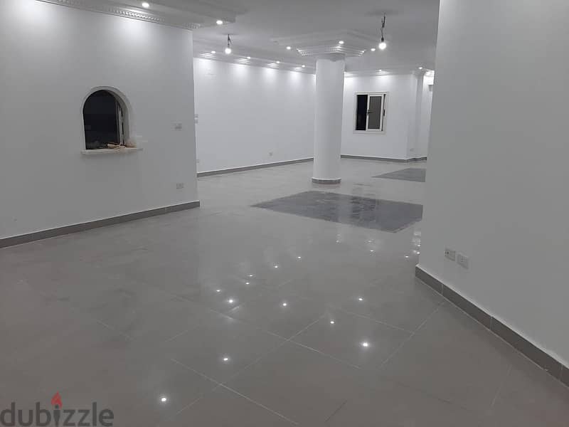 شقه 290 متر للايجار الحي التالت الشيخ زايد - apartment for rent 2