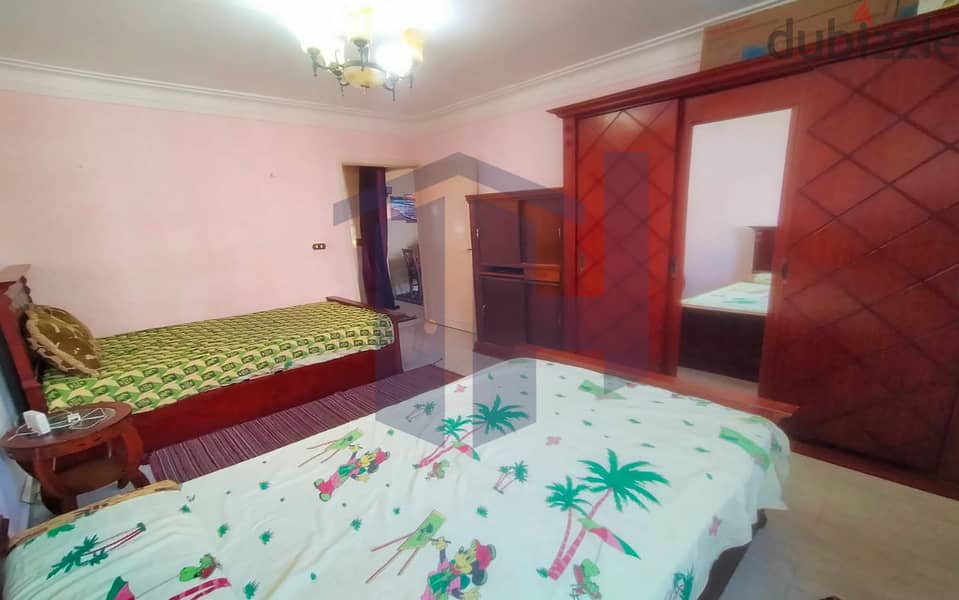 Furnished apartment for rent, 100 m, Smouha (Smouha Cooperatives) 2