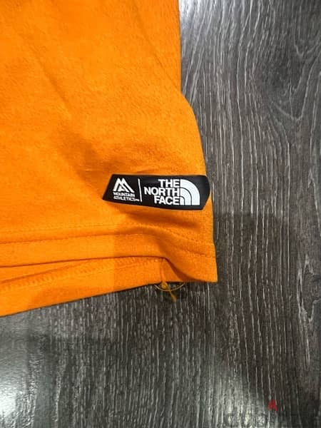 the north face tshirt 3