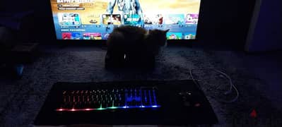 mouse and key board gaming