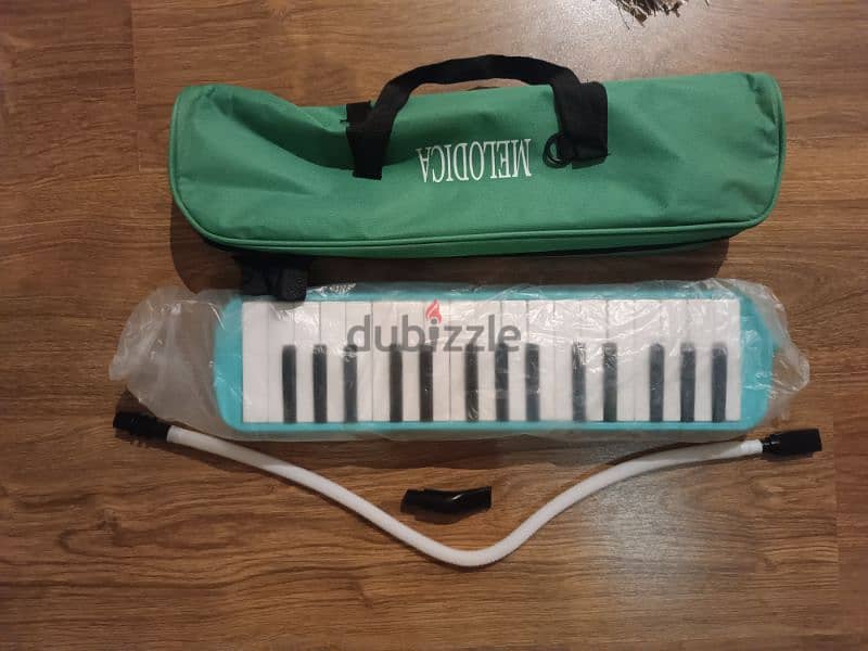 Melodica instrument 1
