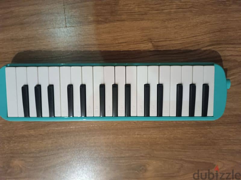 Melodica instrument 2