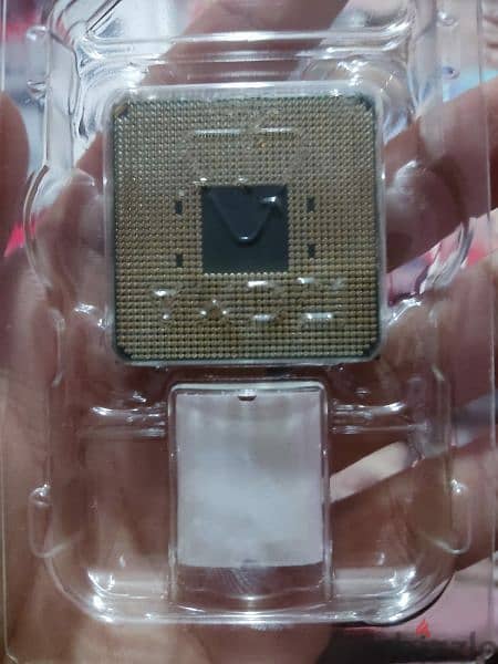AMD ryzen 5 5600X 3