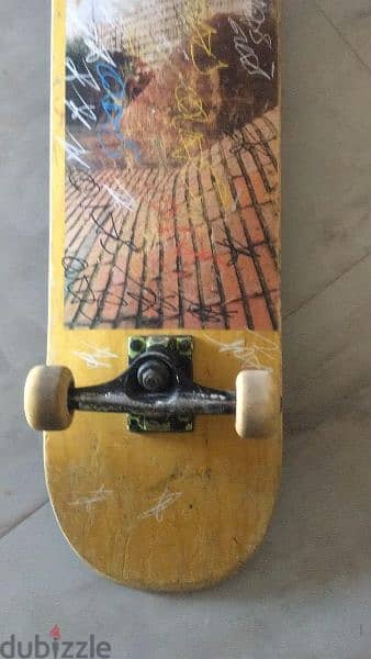 skateboard 2