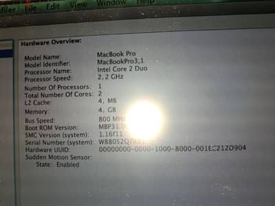 mac book pro 3.1