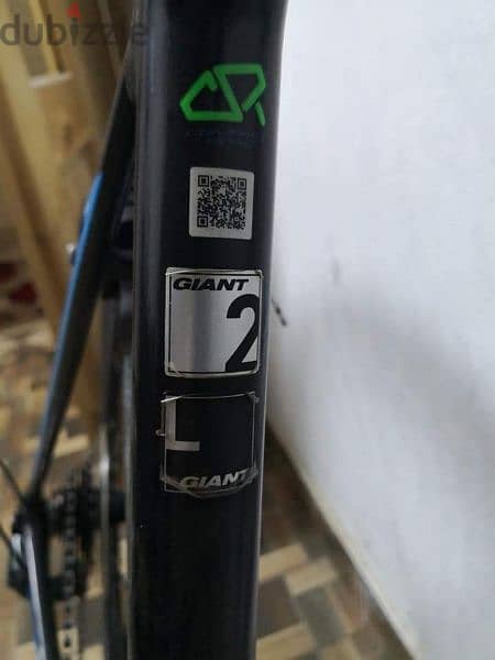 Giant contend SL 3