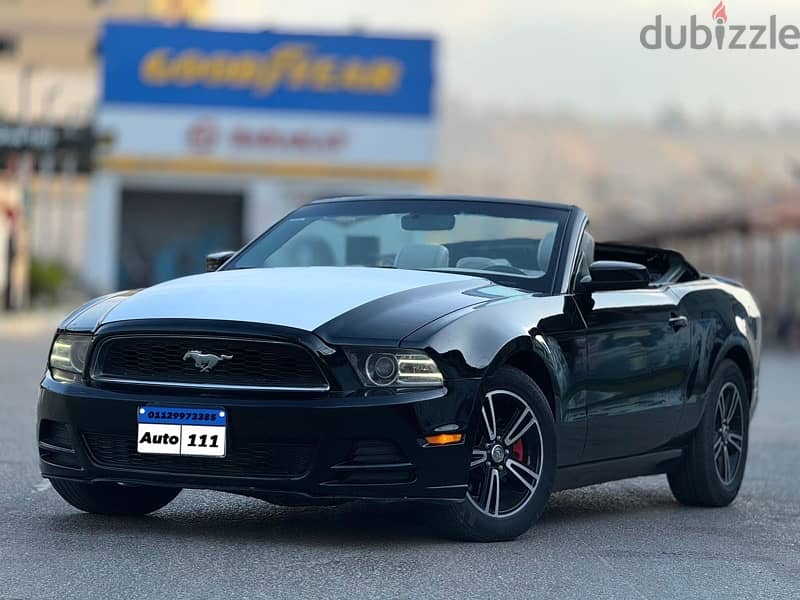 Mustang for rent 11