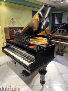 grand piano for a professional pianist