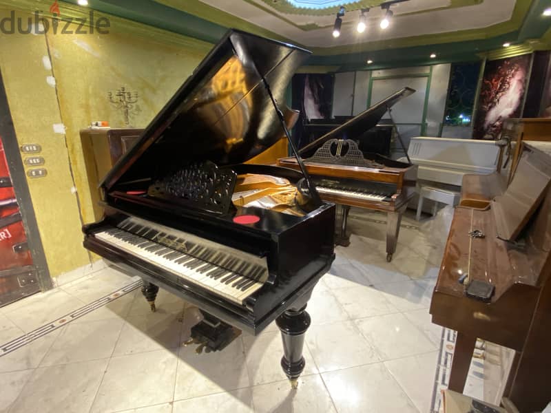 grand piano for a professional pianist 2