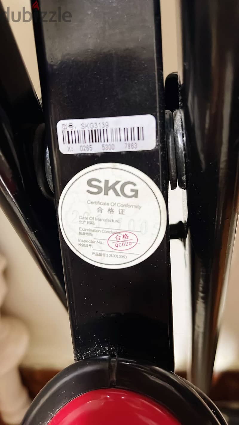 SKG Fitness Bicycle 2