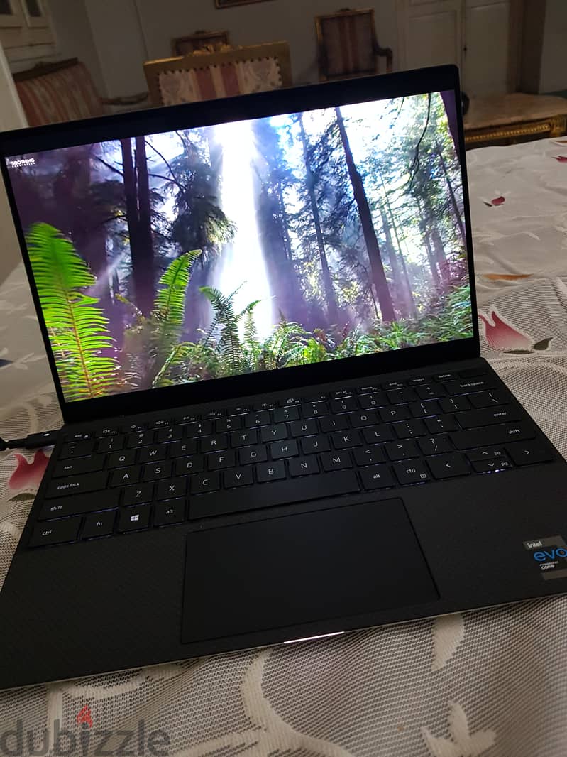 Dell XPS 13 9310 Touch screen 5