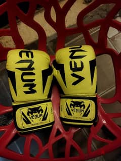 Venum Gloves 0